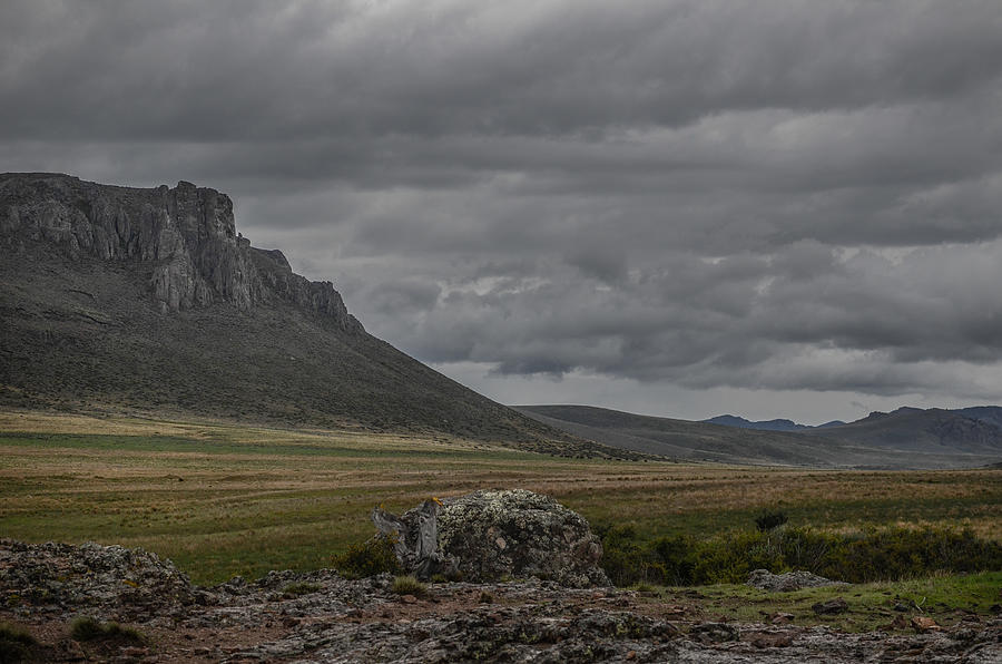 Patagonian steppe Photograph by Marcos Radicella