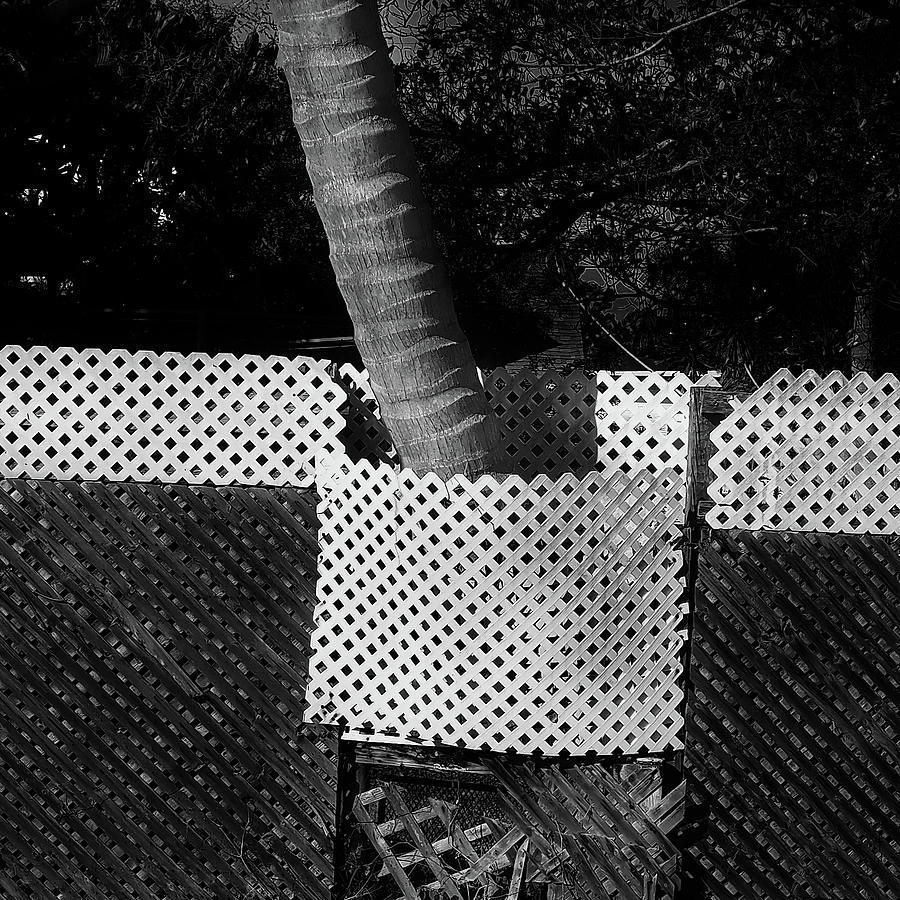 Patchwork Fence Photograph by Luz Resto Patchwork Fence Photograph by Luz Resto