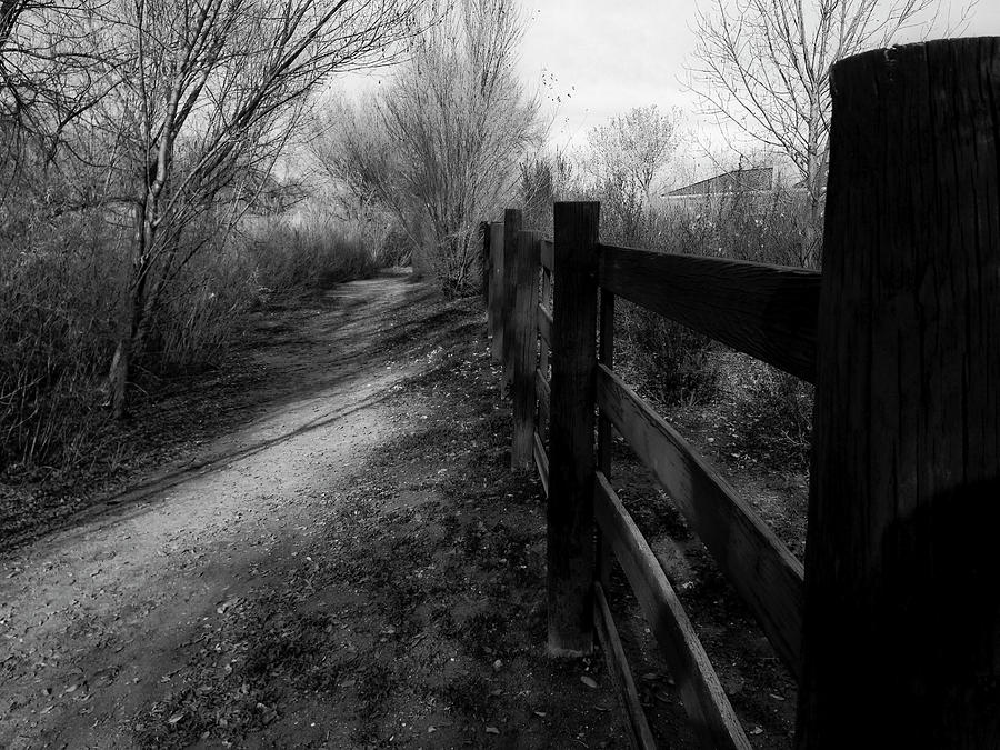 Path Along the Fence Photograph by Mark David Gerson