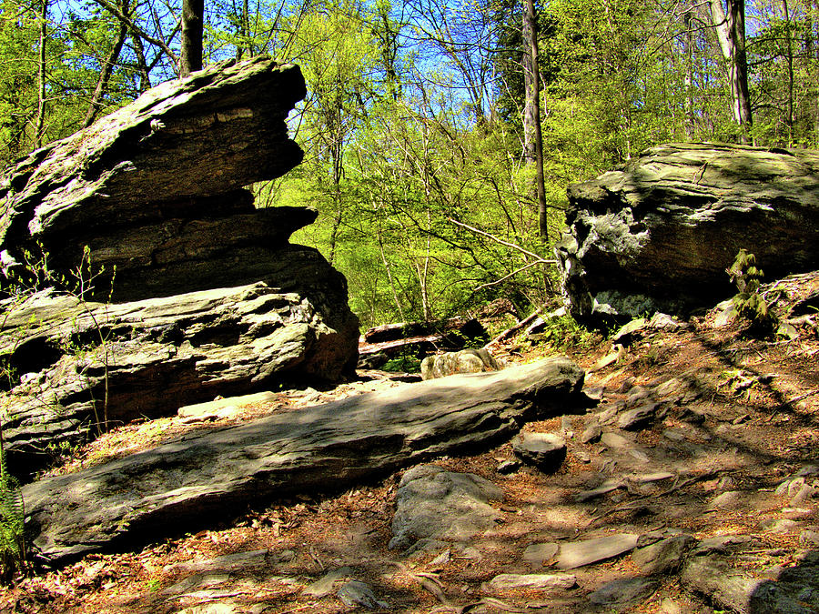 Path Between the Boulders at Wissahickon Park in Pennsylvania Photograph by Linda Stern
