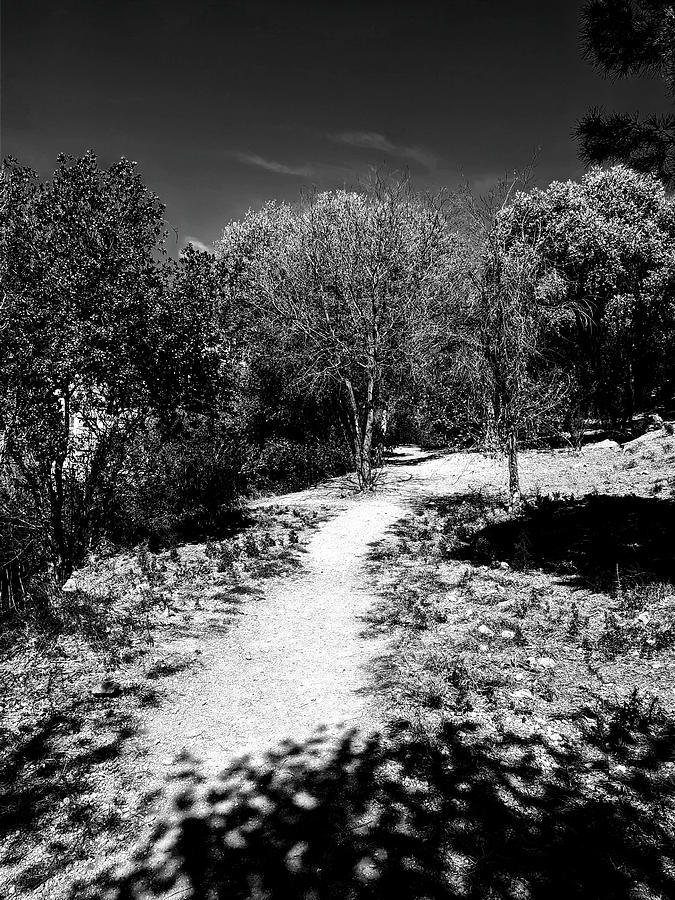 Path In Black And White 2023032914454rt1 Photograph by TomiRovira