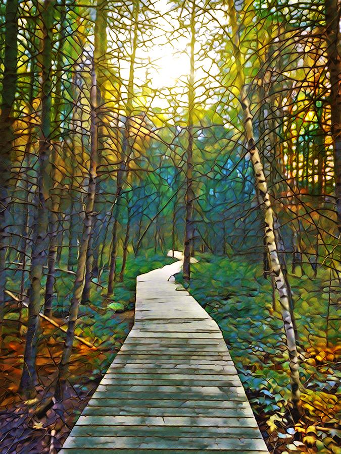 Path in the forest Design 263 Mixed Media by Lucie Dumas