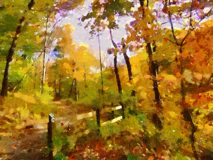 Path into November Mixed Media by Christopher Reed