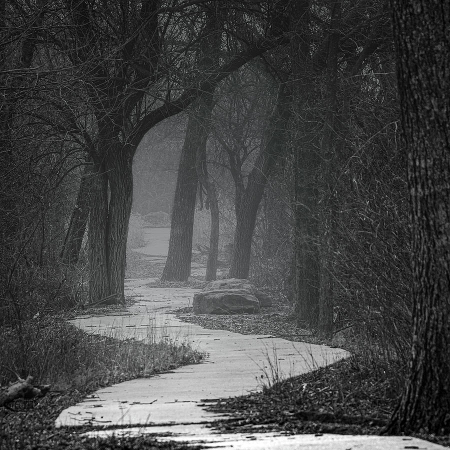 Path Into the Foggy Woods - Square Photograph by Patti Deters - Fine ...