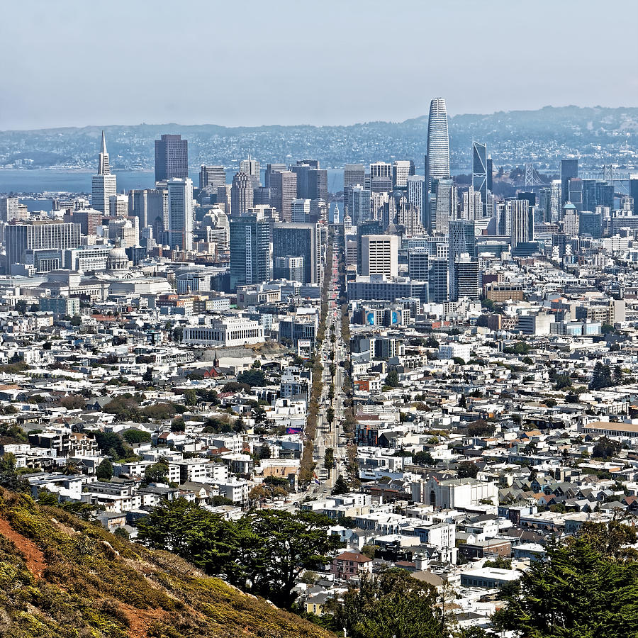 Path of Gold - San Francisco Photograph by KJ Swan