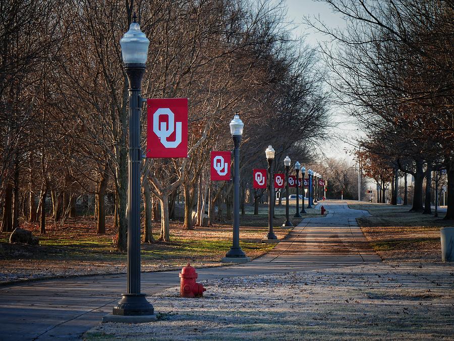 Path Of Lights At Ou Photograph