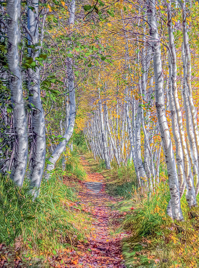 Path Through Fall 01 Photograph by Jim Dollar