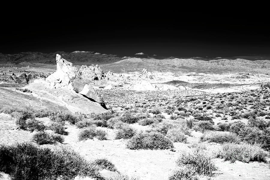 Path Through the Desert Infrared at the Valley of Fire Photograph by John Rizzuto