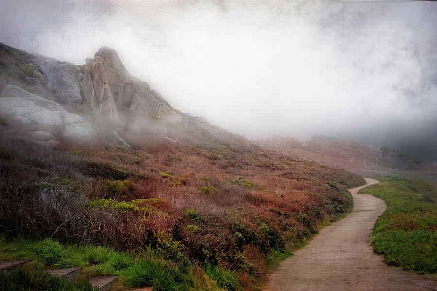 Nature Digital Art - Path through the Mist by Terry Davis