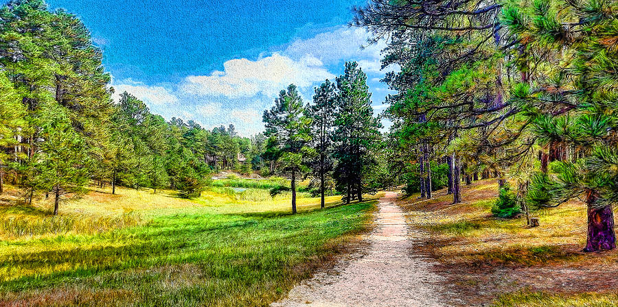 Path Through the Woods in Monument Colorado  Photograph by Ola Allen