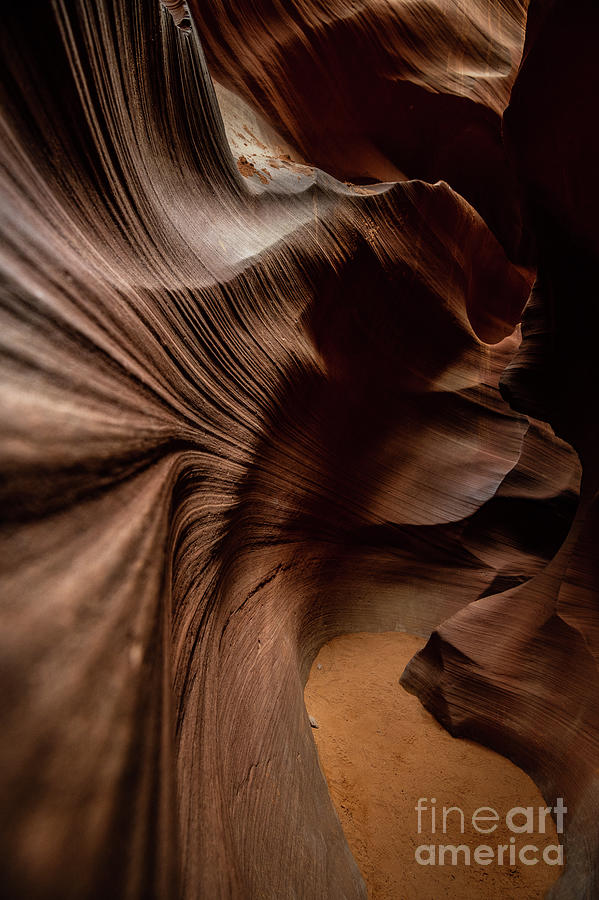 Pattern Photograph - Path Thru the Canyon by Jamie Pham