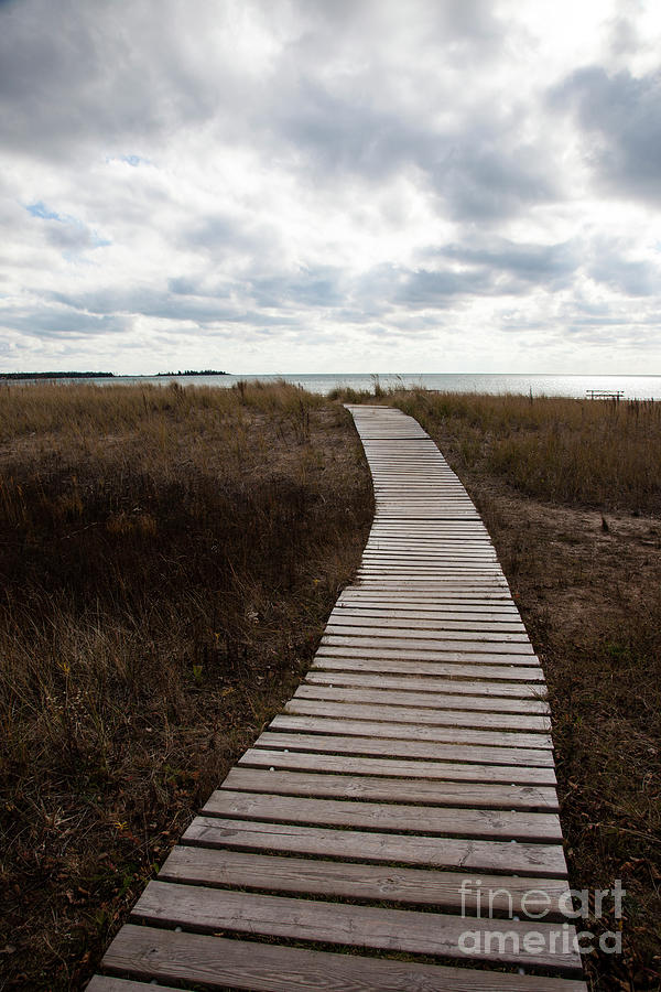 Path to Beach Photograph by Timothy Johnson