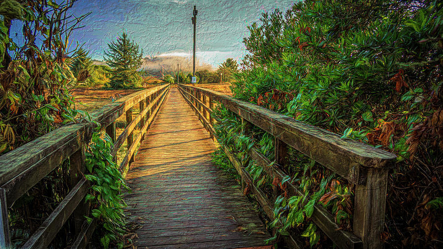 Path to exploring Photograph by Bill Posner