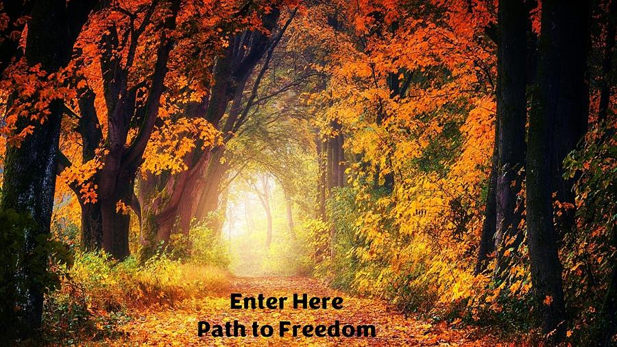 Path to Freedom Mixed Media by Nancy Ayanna Wyatt