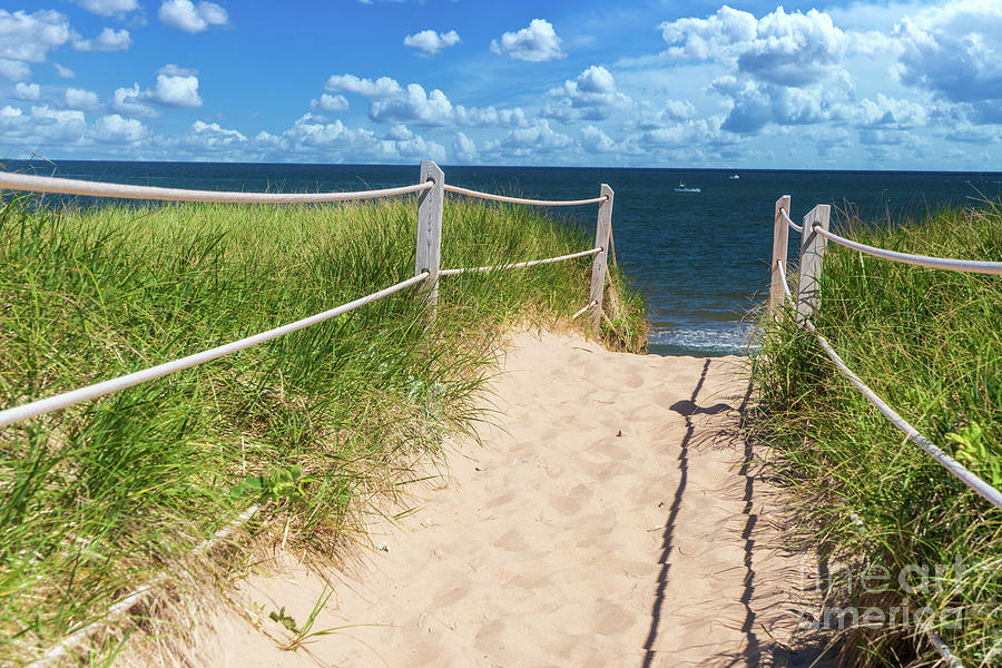 Path to Greenwich Beach, PEI Photograph by Verena Matthew - Fine Art ...