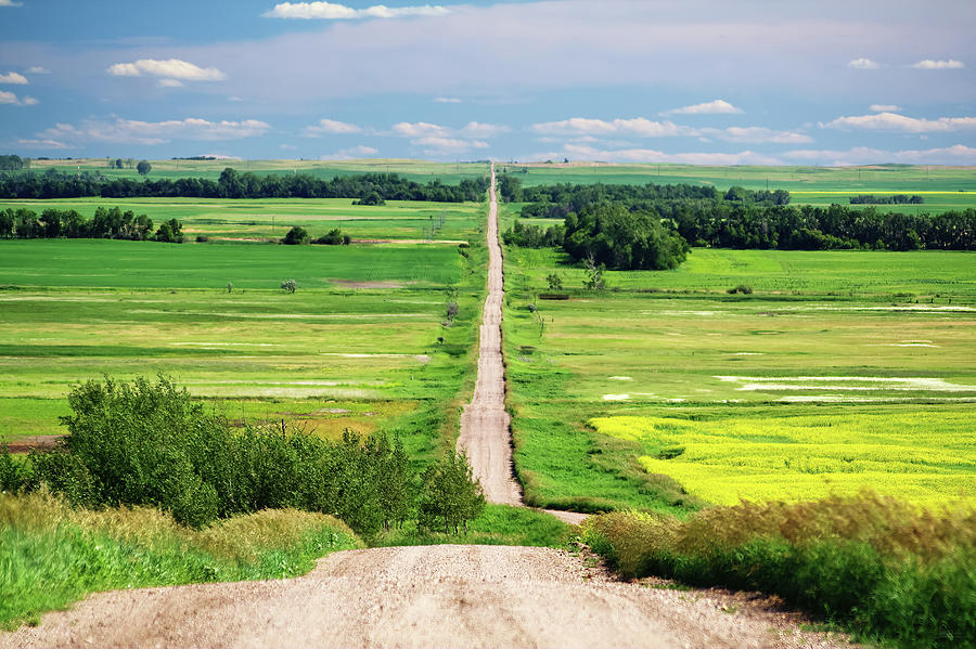 Path to Infinity - gravel road in North Dakota vanishes into the distance Photograph by Peter Herman