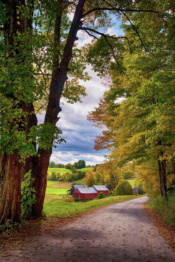 Path to Jenne Farm - Vermont Photograph by Joann Vitali