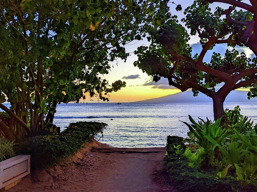 Path to Kaanapali Beach Photograph by Steed Edwards