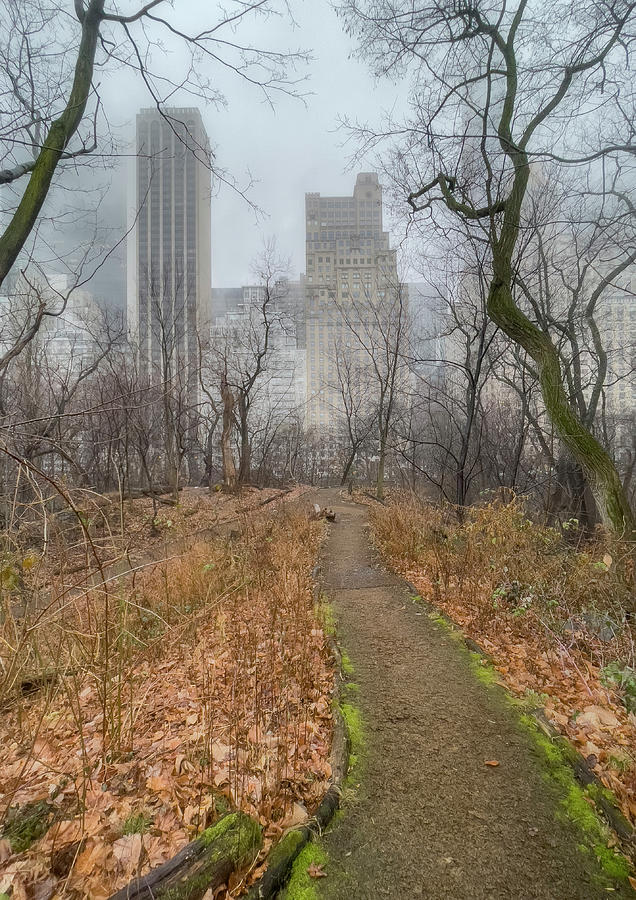 Path To Midtown Photograph by Cate Franklyn