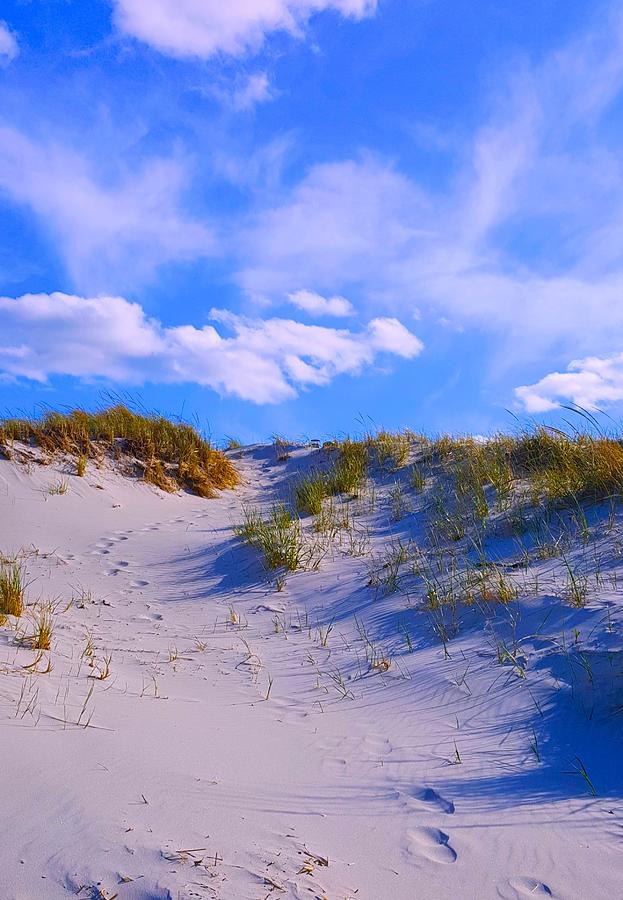 Path To Paradise Photograph by Harriet Harding - Fine Art America