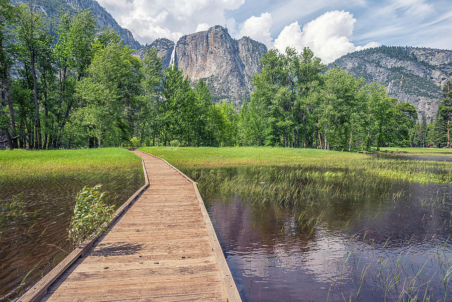 Path To Paradise Yosemite Valley Photograph by Joseph S Giacalone