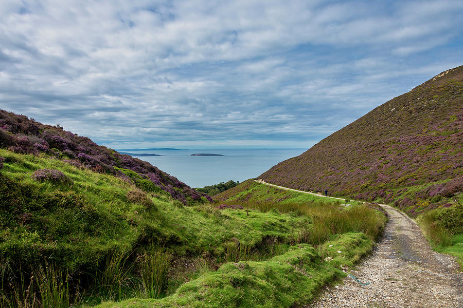 Conwy Photograph - Path to Penmaenmawr 1 by Steev Stamford