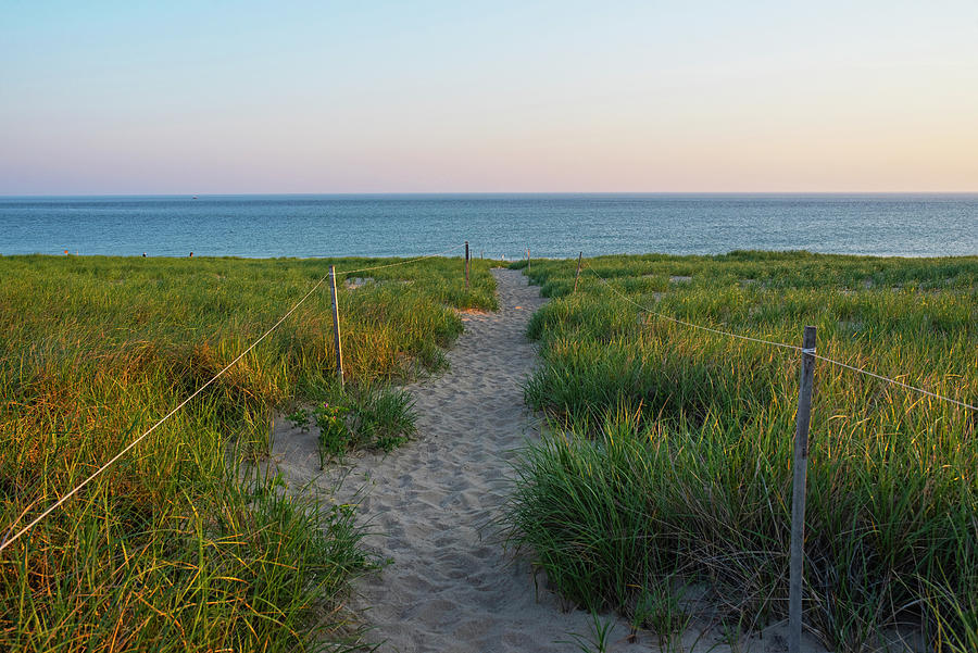 Path to Race Point Beach in Provincetown Massachusetts Cape Cod Photograph by Toby McGuire