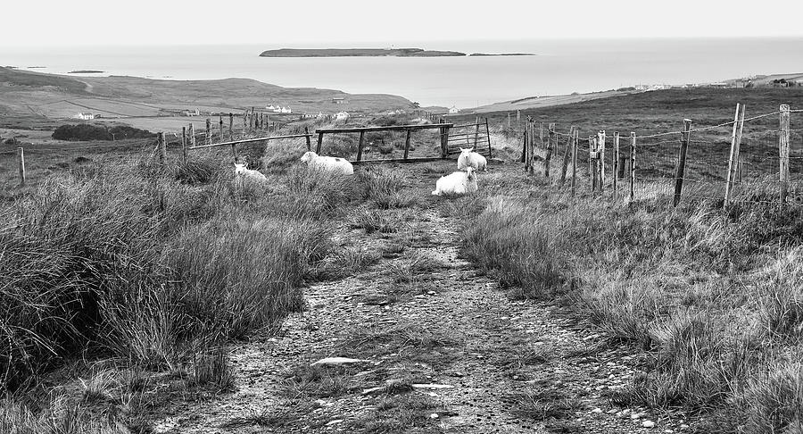 Path to Rural Malin Beg in BW Photograph by Lexa Harpell