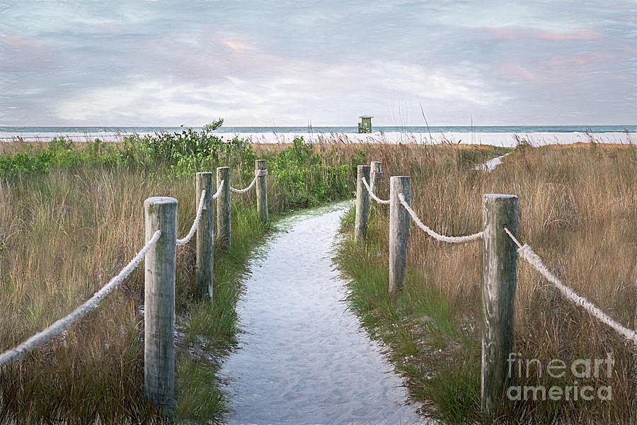 Path to Siesta Key, Florida, Sketch Photograph by Liesl Walsh