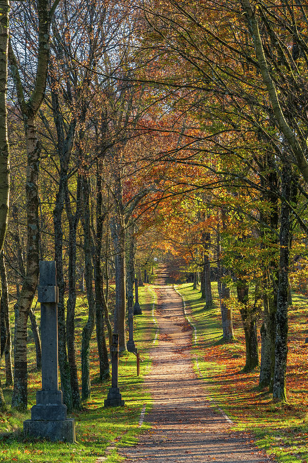 Path To The Autumn Photograph