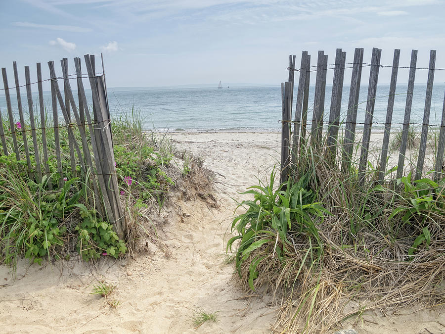 Path to the beach in Cape Cod Photograph by Katia Kovan - Fine Art America