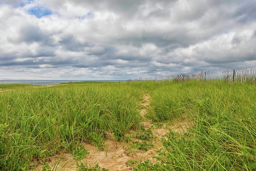 Path to the Beach Photograph by Marisa Geraghty Photography