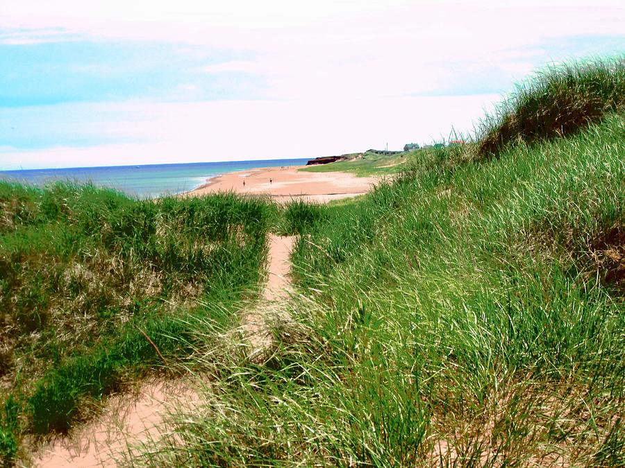 Path to the Beach Photograph by Stephanie Moore