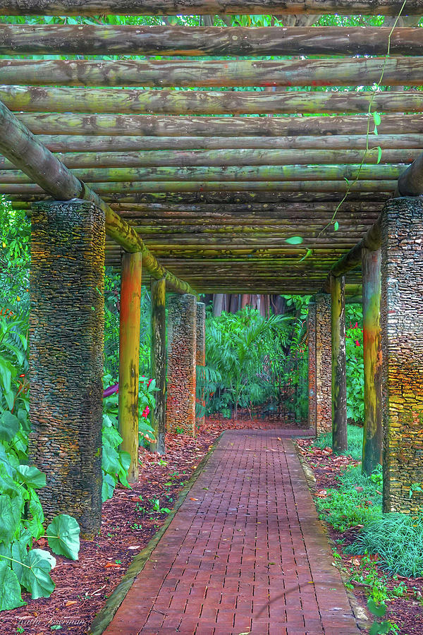 Path to the Forest Photograph by Kathi Isserman Path to the Forest Photograph by Kathi Isserman
