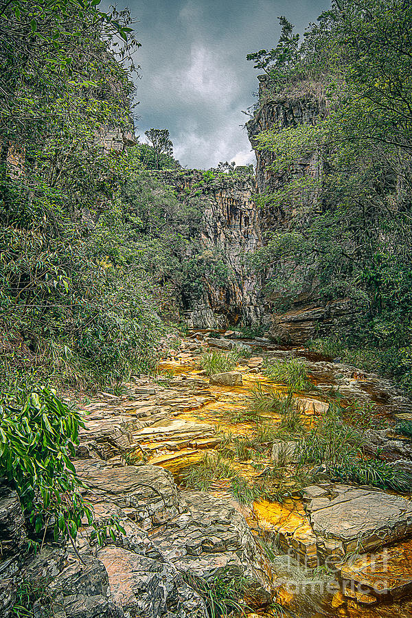 Nature Digital Art - Path to the gold, golden water running by the rocks, nature of Minas Gerais, Brazil by Vinicius Bacarin