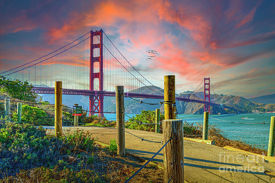 Path to the Golden Gate Photograph by David Zanzinger