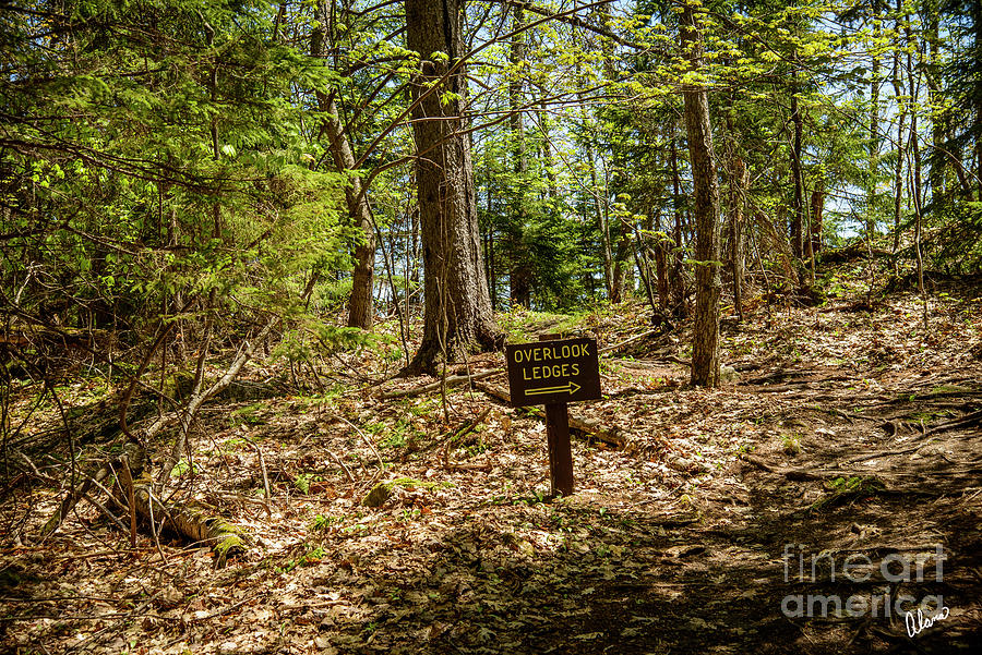 Path To The Ledges Photograph