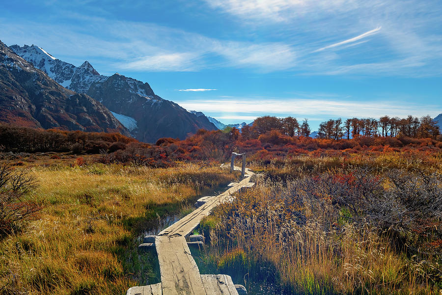 Path To The Mountains Of Patagonia Photograph