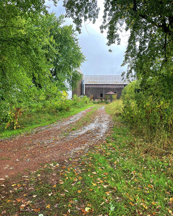 Path to the Old Barn Photograph by Bill Swartwout