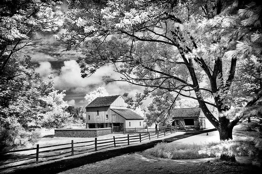 Path to the old barn in BW Photograph by Paul W Faust - Impressions of Light