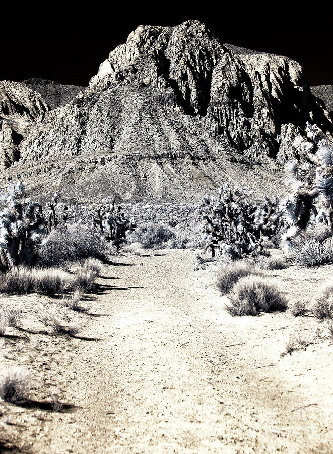 Path to the Red Rocks Infrared in Las Vegas Photograph by John Rizzuto