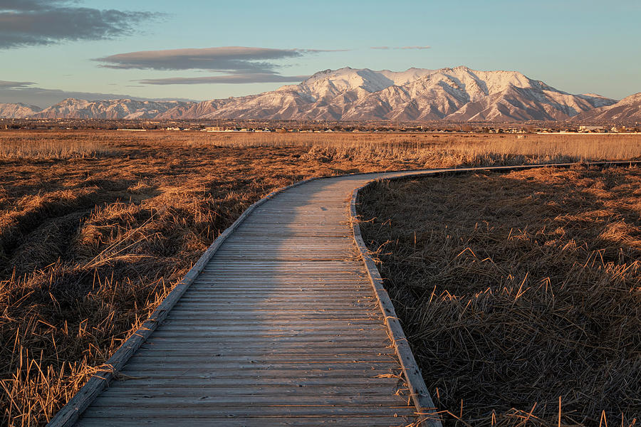 Path to the Wasatch Mountain Photograph by Joan Escala-Usarralde