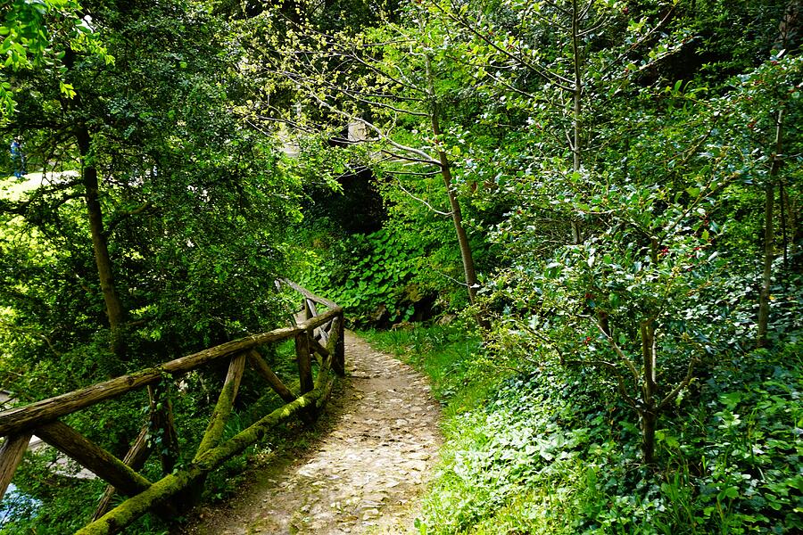 Path with a Fence Photograph by Michael VanPatten - Fine Art America