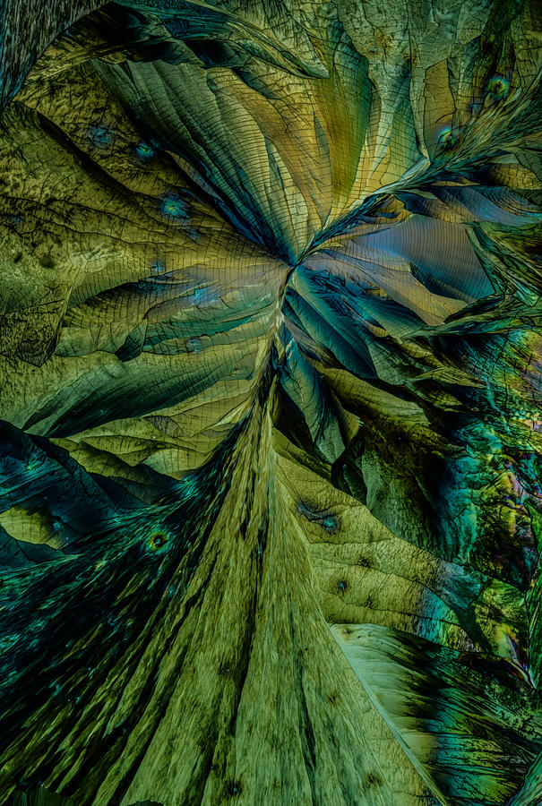Paths of green Photograph by Jaroslaw Blaminsky