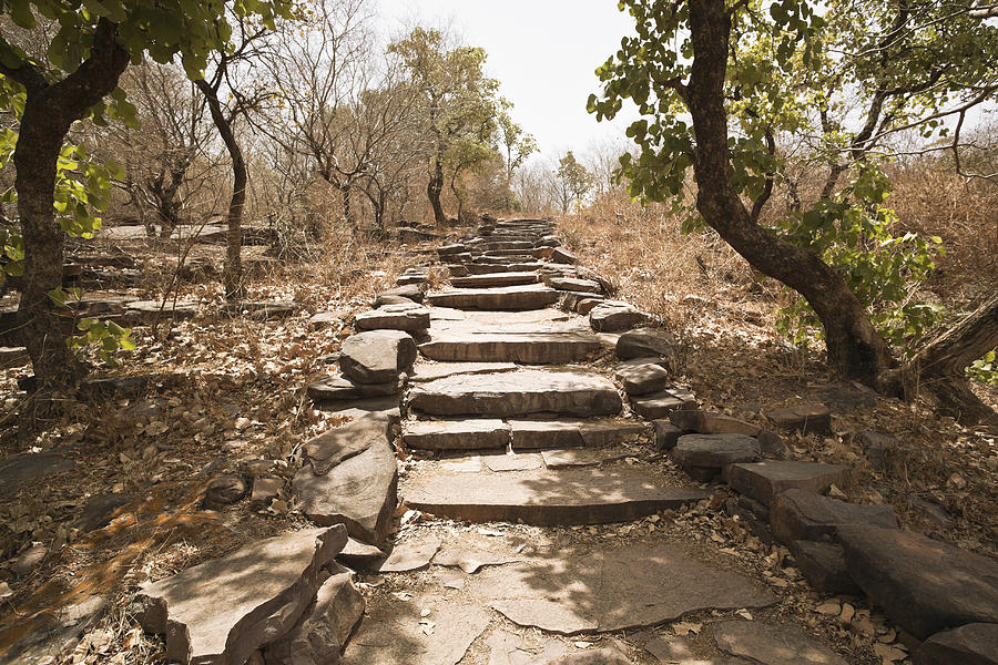 Pathway at Buddhist pilgrimage site, Sanchi, Madhya Pradesh, India Photograph by Uniquely India