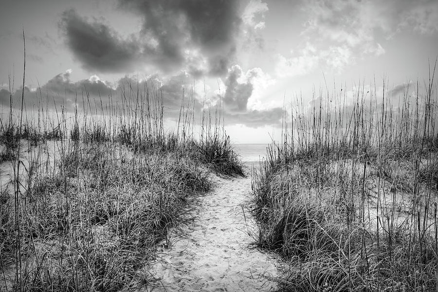 Pathway into Sunrise in Black and White Photograph by Debra and Dave Vanderlaan