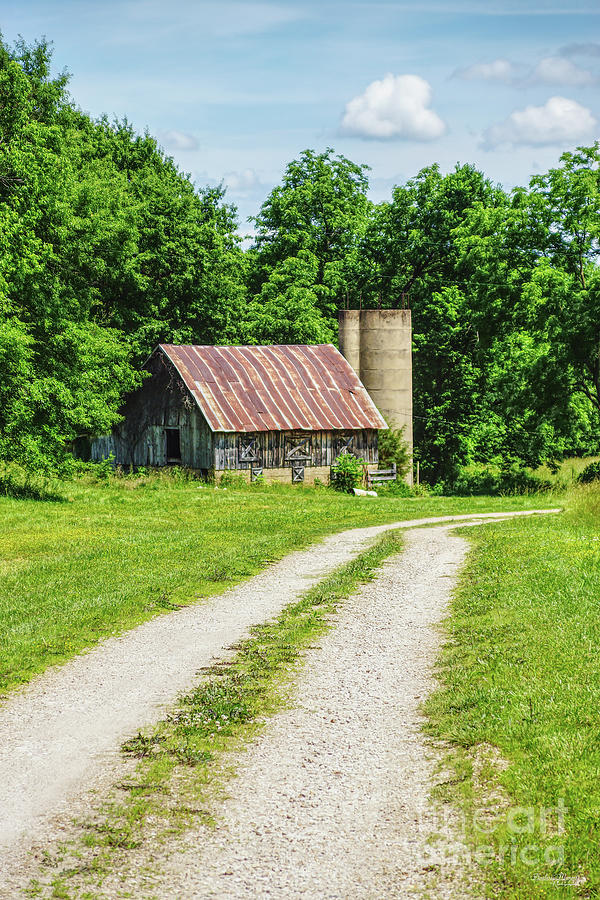 Pathway Through A Farm Photograph by Jennifer White