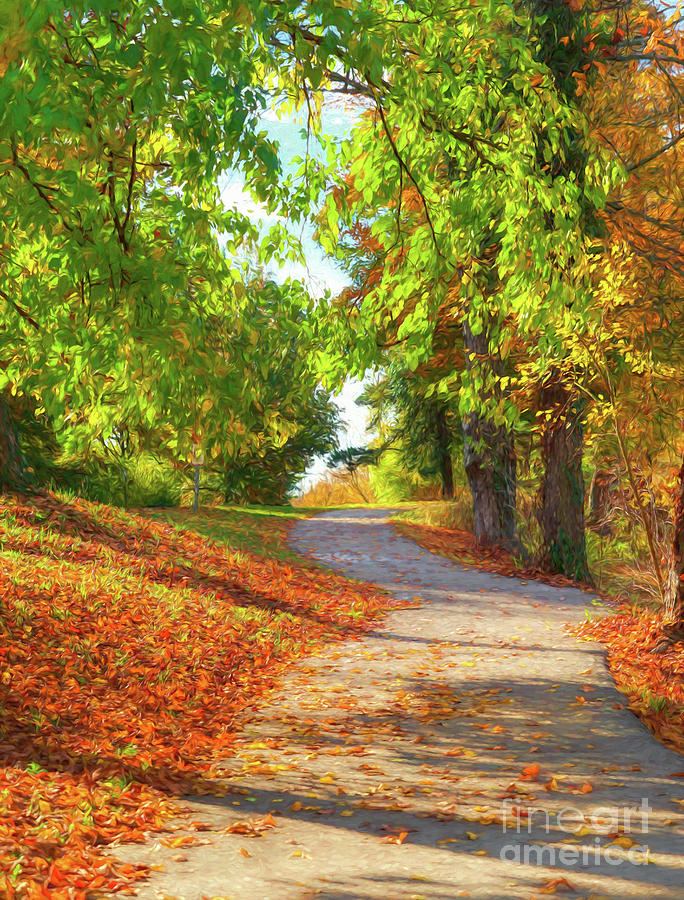 Pathway To Autumn # 3 Photograph by Mel Steinhauer