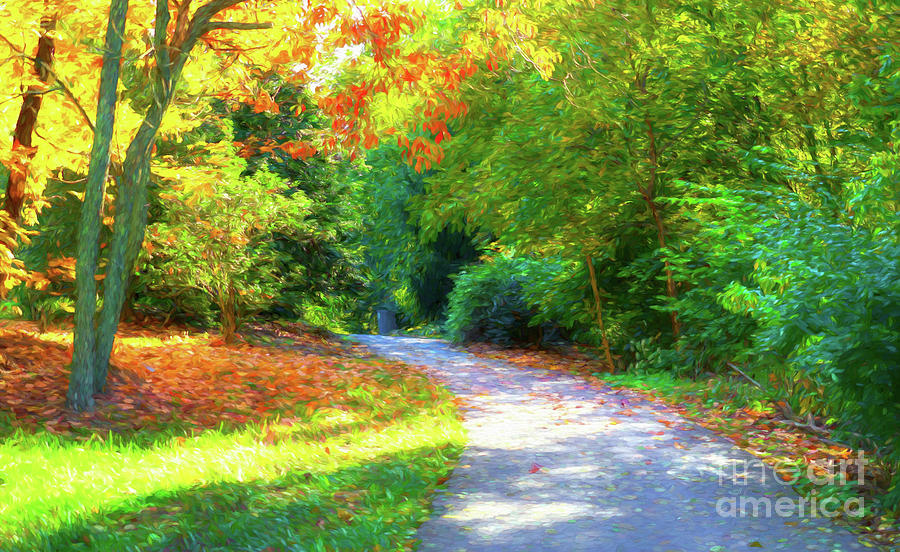 Pathway To Autumn Photograph by Mel Steinhauer