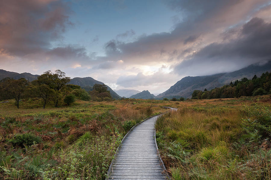 Pathway to Castle Cragg, the Lake District, Cumbria, England Photograph by Sarah Howard